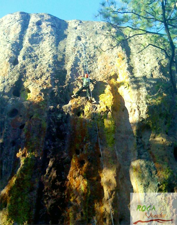Rocavenados Villa Mascota Exteriör bild
