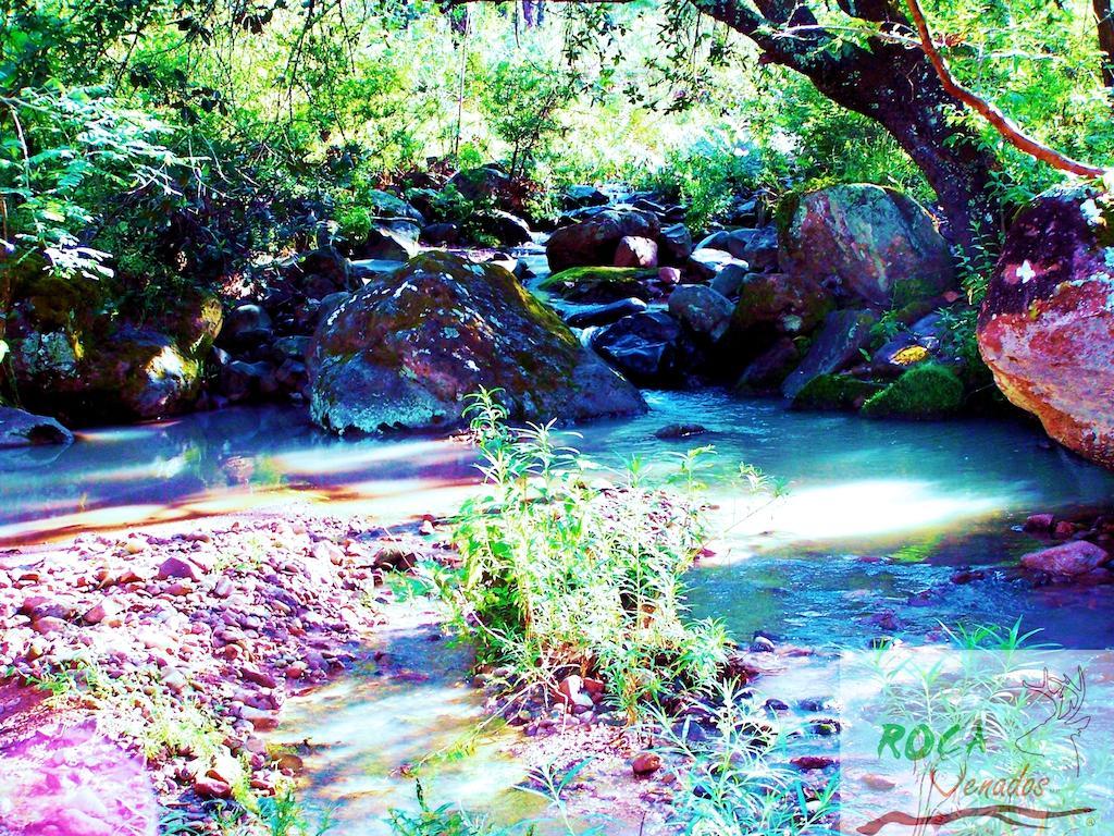 Rocavenados Villa Mascota Exteriör bild